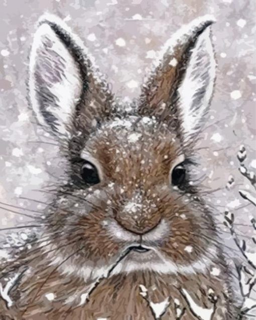 Rabbit In Snow Paint By Numbers