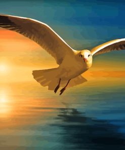 Seagull And The Sunset Paint By Numbers