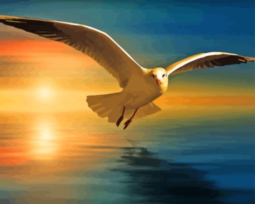 Seagull And The Sunset Paint By Numbers