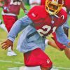 Sean Taylor Paint By Numbers