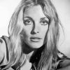 Sharon Tate Paint By Numbers