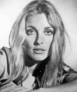 Sharon Tate Paint By Numbers