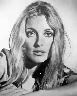 Sharon Tate Paint By Numbers