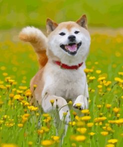 Shiba Playing In Flower Field Paint By Numbers