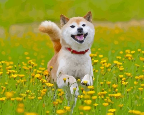 Shiba Playing In Flower Field Paint By Numbers