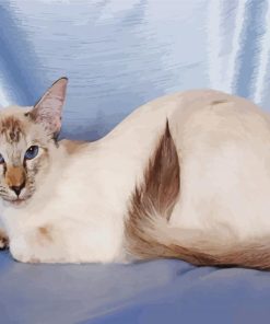 Siamese Oriental Cat Paint By Numbers