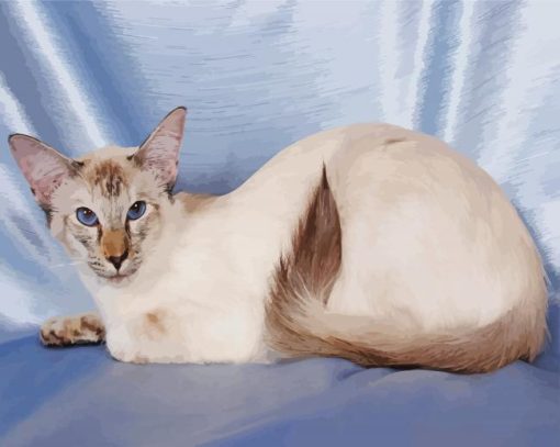 Siamese Oriental Cat Paint By Numbers