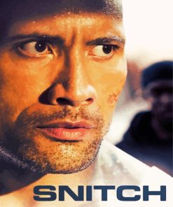 Snitch Movie Paint By Numbers