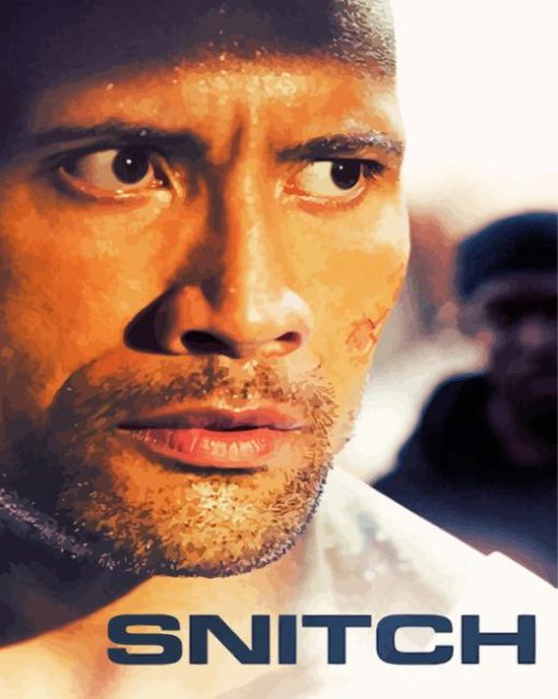 Snitch Movie Paint By Numbers