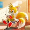 Tails The Hedgehog Sitting On Books Paint By Numbers