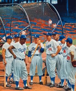 The Brooklyn Dodgers Baseball Players Paint By Numbers