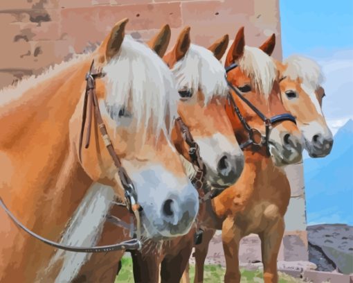 The Haflinger Horses Paint By Numbers