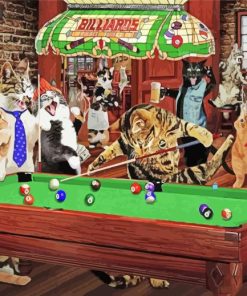 The Snooker Cats Paint By Numbers