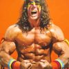 The Ultimate Warrior Paint By Numbers