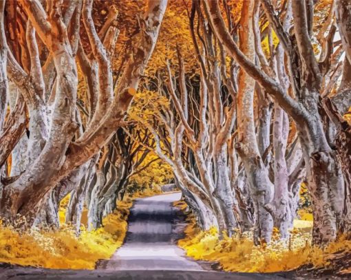 The Dark Hedges In Autumn Paint By Numbers