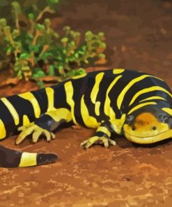 Tiger Salamander Ambystomatidae Paint By Numbers