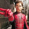 Tobey Maguire Spider Man Paint By Numbers