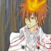 Tsunayoshi Sawada Anime Paint By Numbers