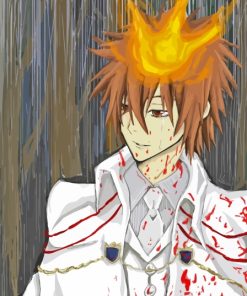 Tsunayoshi Sawada Anime Paint By Numbers