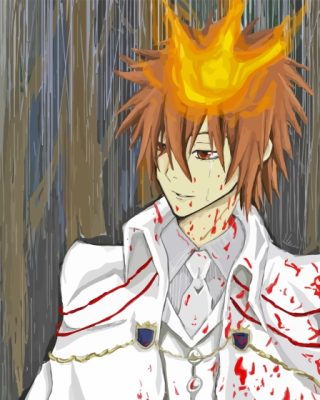 Tsunayoshi Sawada Anime Paint By Numbers