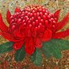 Waratah Paint By Numbers