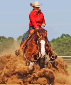 Western Reining Paint By Numbers