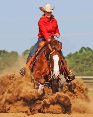 Western Reining Paint By Numbers