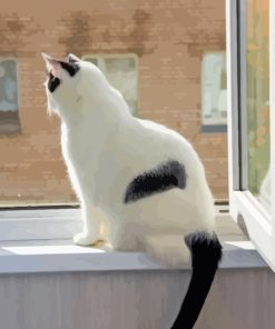 White Cat With Black Tail In Window Paint By Numbers