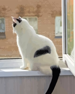 White Cat With Black Tail In Window Paint By Numbers