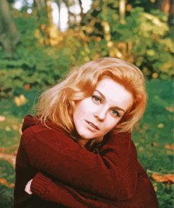 Actress Ann Margaret Paint By Numbers