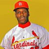 Aesthetic Bob Gibson Paint By Numbers