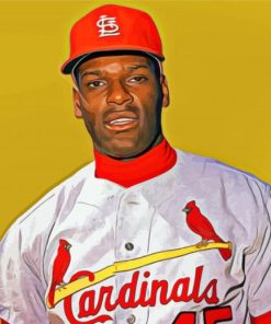 Aesthetic Bob Gibson Paint By Numbers