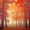 Autumn Forest Trees In Fog Paint By Numbers