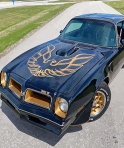 Black Classic Firebird Paint By Numbers