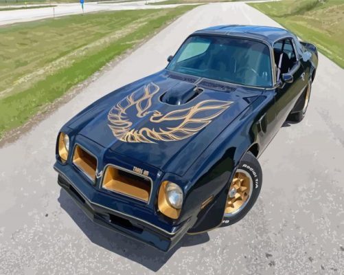 Black Classic Firebird Paint By Numbers