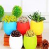 Colorful Succulent Pots Paint By Numbers