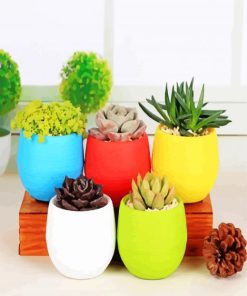 Colorful Succulent Pots Paint By Numbers