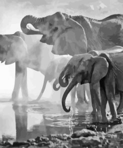 Elephants Drinking In Pond Black And White Paint By Numbers