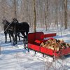 Horse With Sleigh In Snow Paint By Numbers