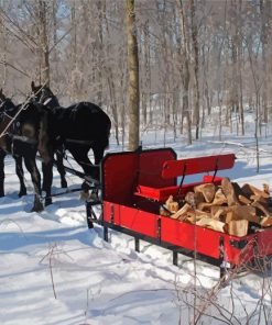 Horse With Sleigh In Snow Paint By Numbers