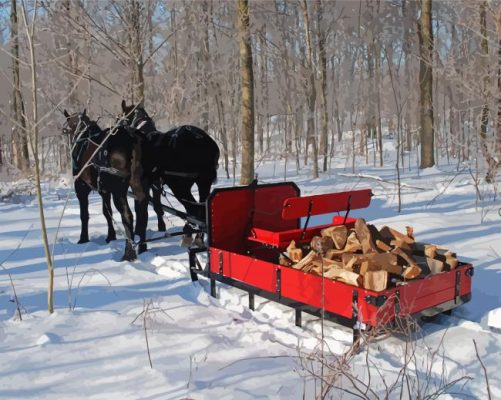 Horse With Sleigh In Snow Paint By Numbers