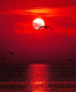 Seascape Red Sunset Paint By Numbers