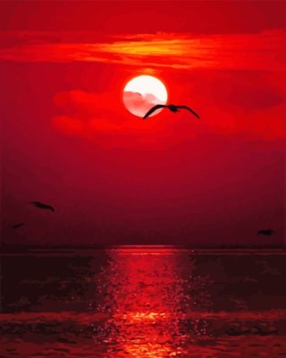 Seascape Red Sunset Paint By Numbers