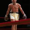 Sugar Ray Robinson American Boxer Paint By Numbers