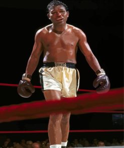 Sugar Ray Robinson American Boxer Paint By Numbers