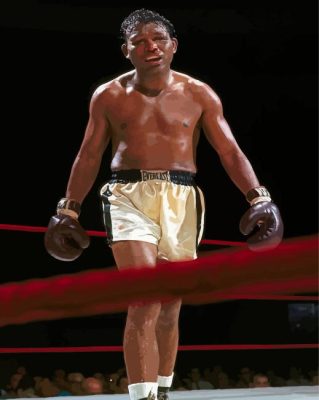 Sugar Ray Robinson American Boxer Paint By Numbers