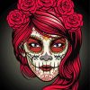 Sugar Skull Lady Paint By Numbers