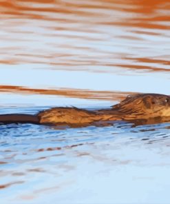 Swimming Muskrat Paint By Numbers