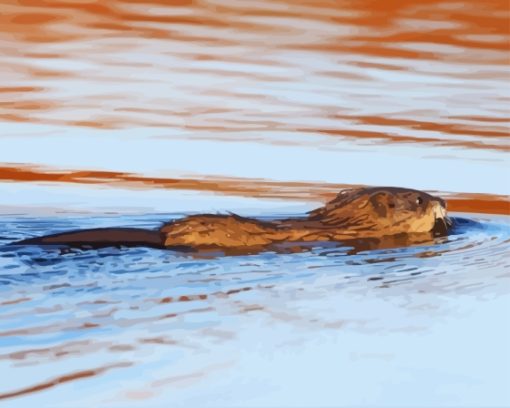 Swimming Muskrat Paint By Numbers