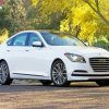 White Hyundai Genesis Car Paint By Numbers